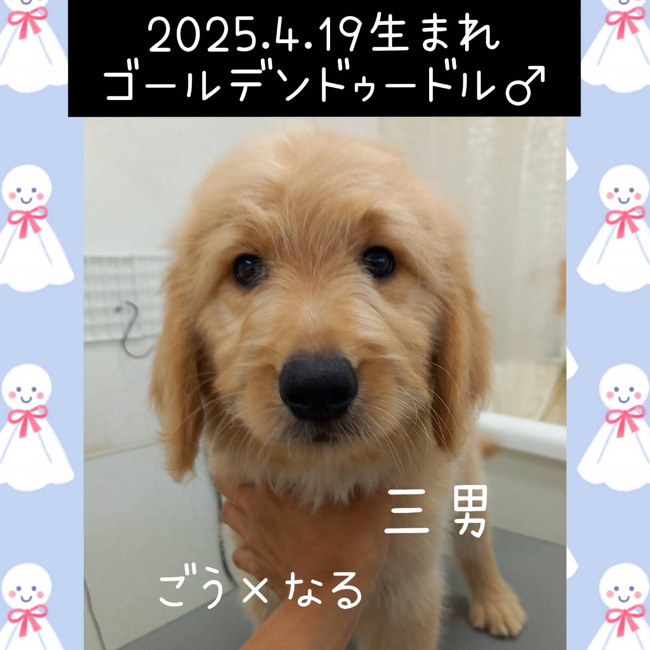 ごう×なるの子　三男くん♂