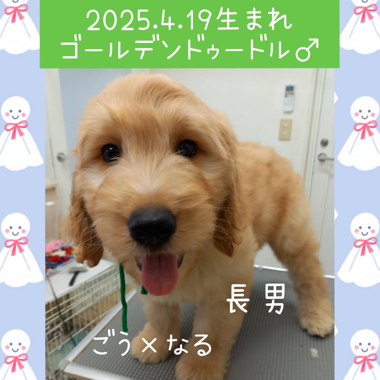 ごう×なるの子　長男くん♂