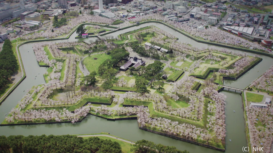 フロム・ザ・スカイ 空から見た日本