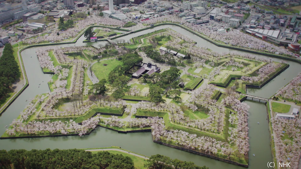 フロム・ザ・スカイ 空から見た日本