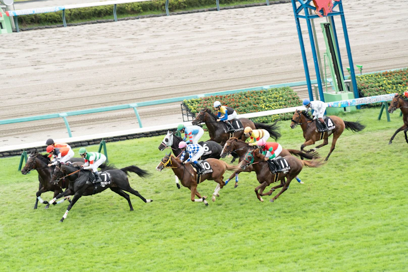 最強馬券師決定戦！競馬チャレンジマッチ