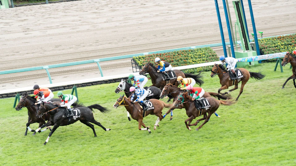 最強馬券師決定戦!競馬チャレンジマッチ