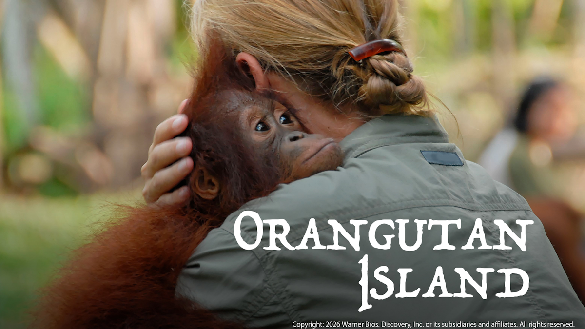 オランウータン・アイランド | ワーナーブラザース・ディスカバリー