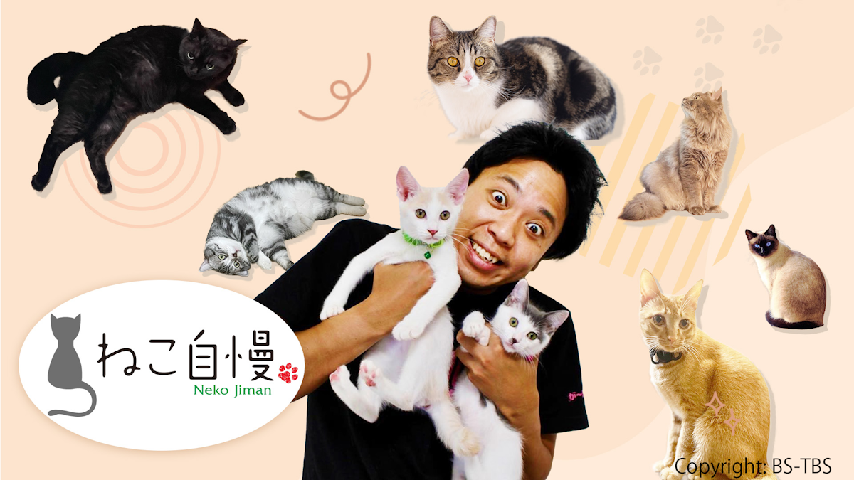 ねこ自慢 | ワーナーブラザース・ディスカバリー・ジャパン
