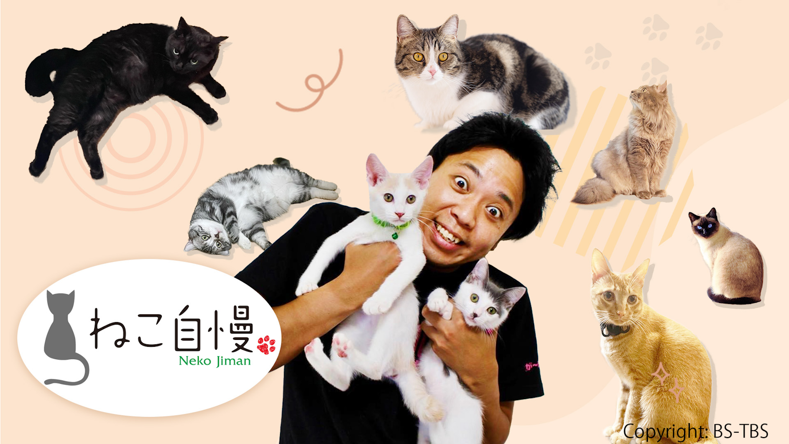 ねこ自慢 | ワーナーブラザース・ディスカバリー・ジャパン