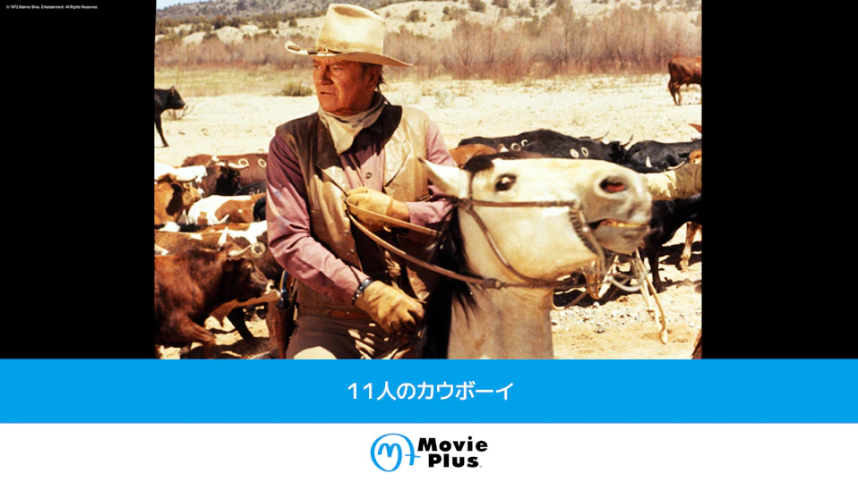 １１人のカウボーイ