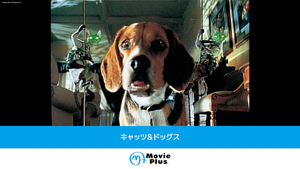 キャッツ＆ドッグス