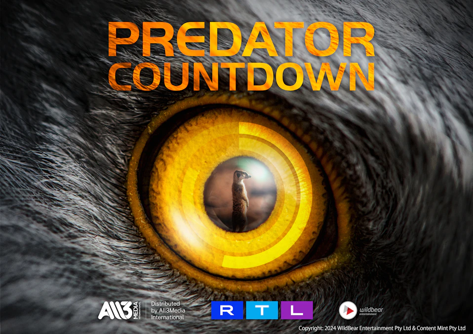 野生の攻防~捕食へのカウントダウン~