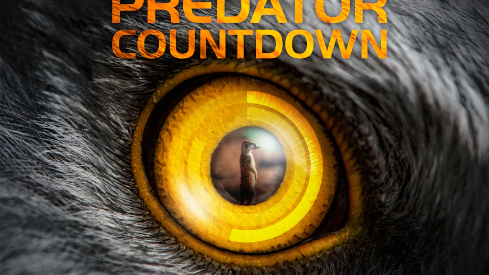 野生の攻防~捕食へのカウントダウン~