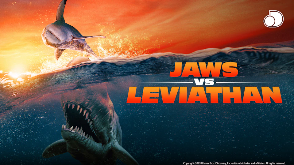 シャークWEEK!サメフェス2025