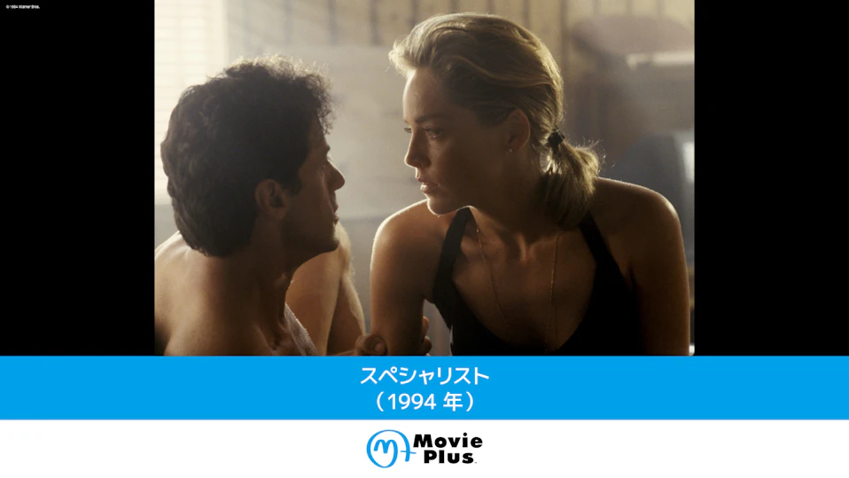 スペシャリスト（1994年）