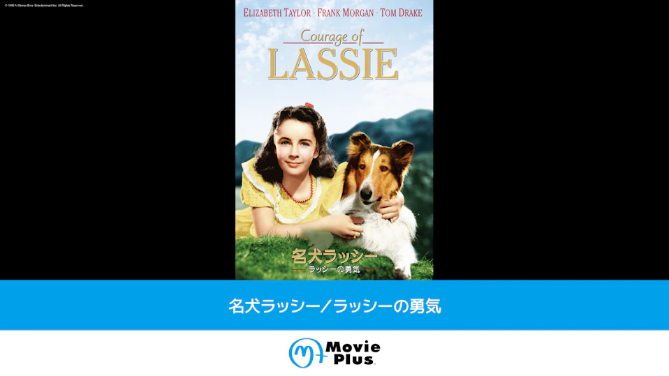 名犬ラッシー／ラッシーの勇気