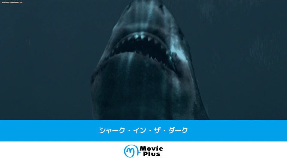 シャーク・イン・ザ・ダーク