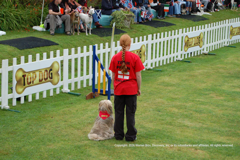 トップドッグ 最強わんこ決定戦 シーズン2