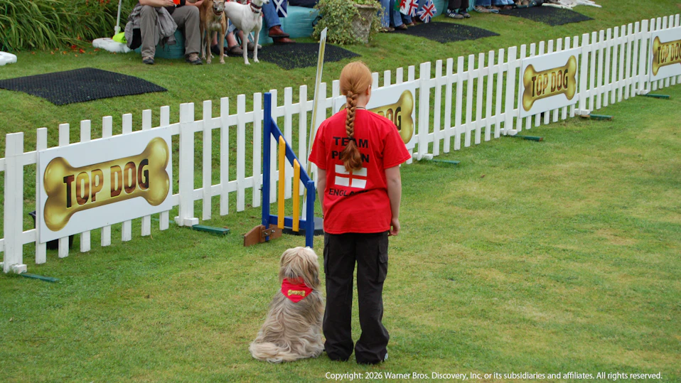 トップドッグ 最強わんこ決定戦 シーズン2