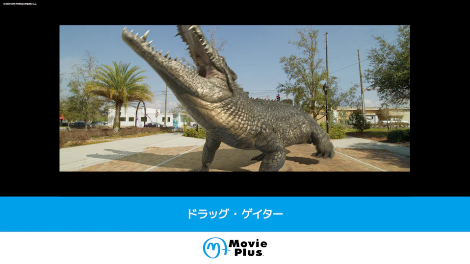 ドラッグ・ゲイター