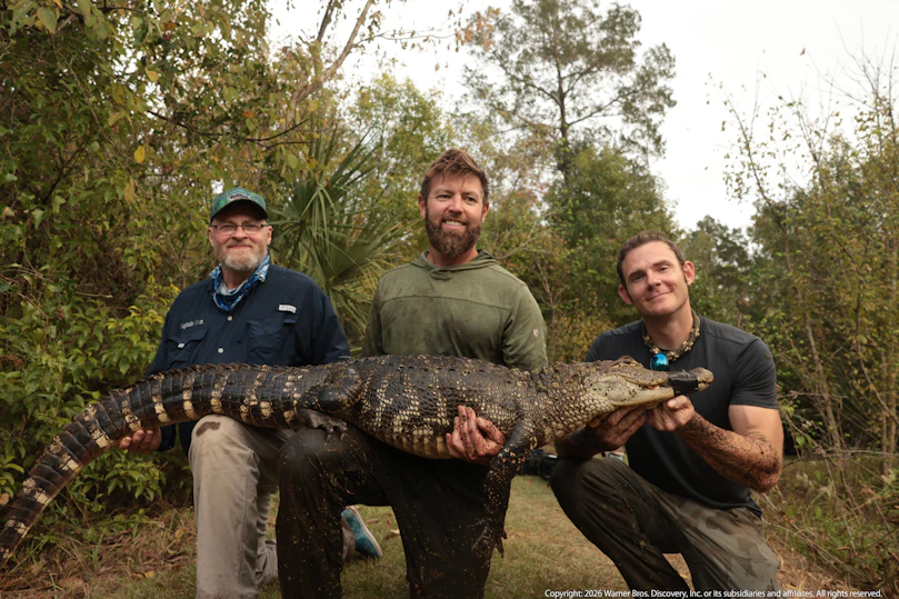 野生の中毒～薬物に侵された動物たち～