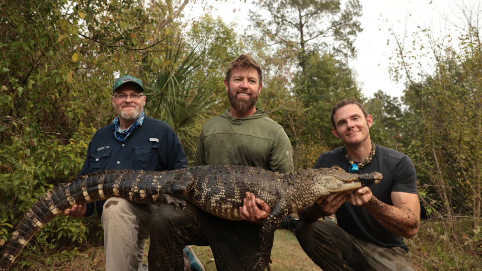 野生の中毒~薬物に侵された動物たち~