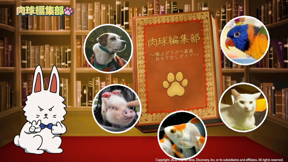 肉球編集部 ~極上どうぶつ家族おもてなしガイド~