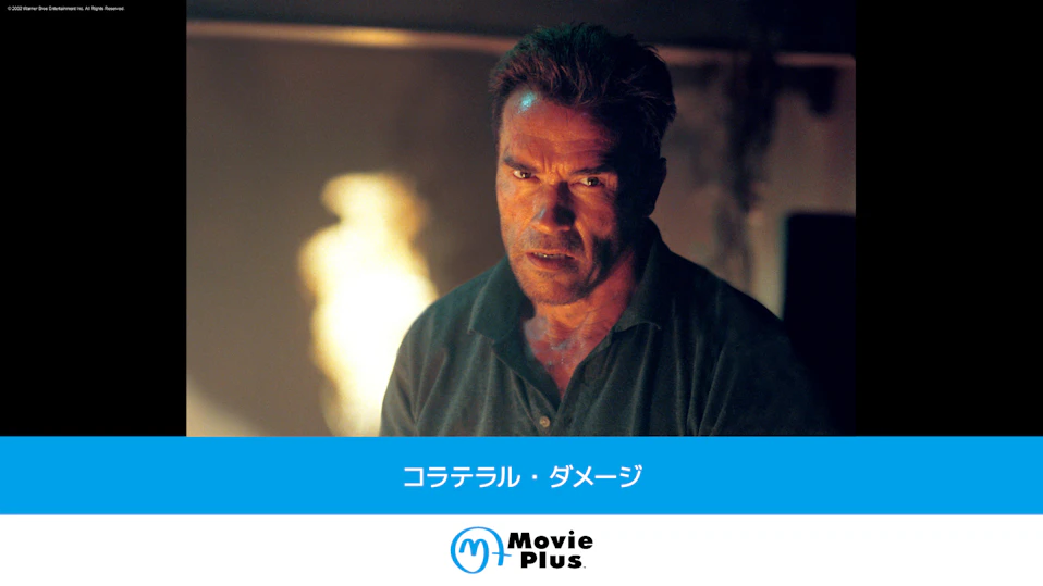 コラテラル・ダメージ