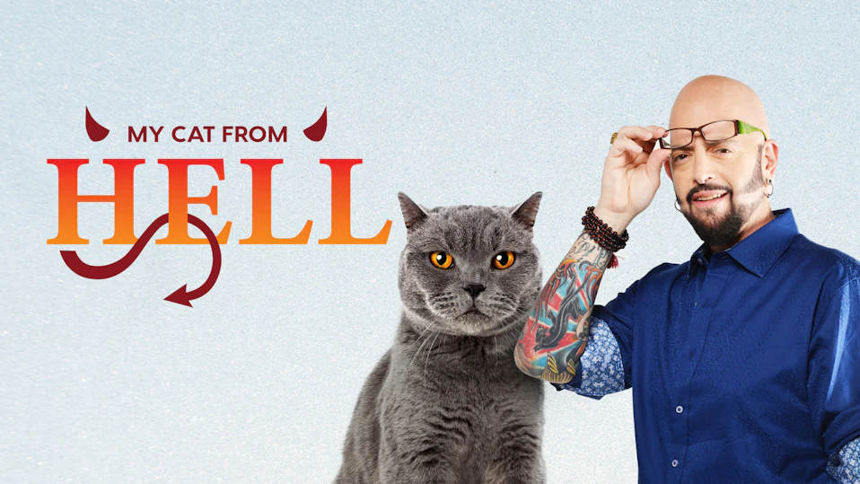 猫ヘルパー シーズン9~猫のしつけ教えます~