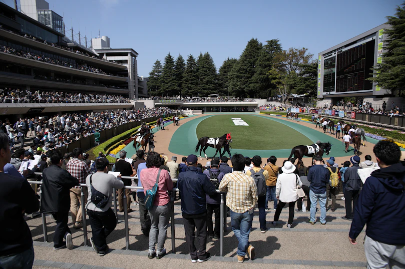 最強馬券師決定戦！競馬バトルロイヤル5