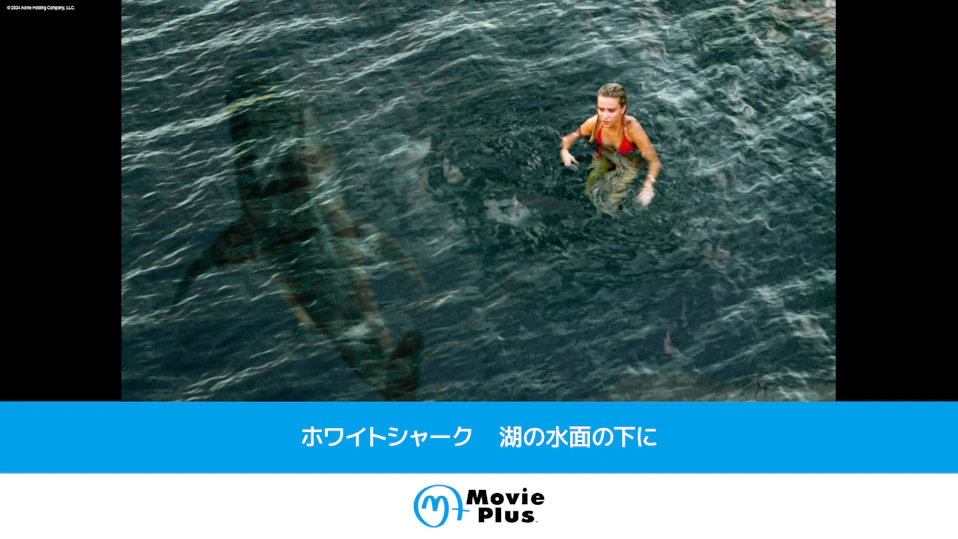 ホワイトシャーク　湖の水面の下に