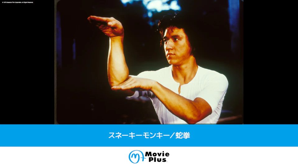 スネーキーモンキー／蛇拳