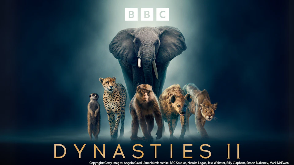 BBC超大作 動物王国記