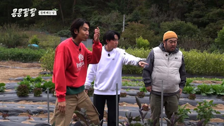 コンコンパッパッ～今日から芸農人！～