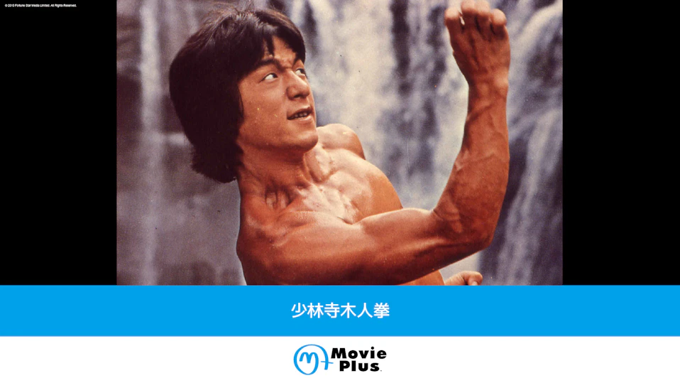 少林寺木人拳【地上波追録版】