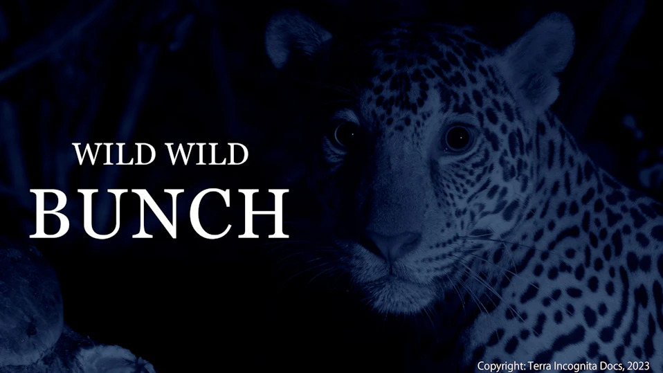 自然界の荒くれ者