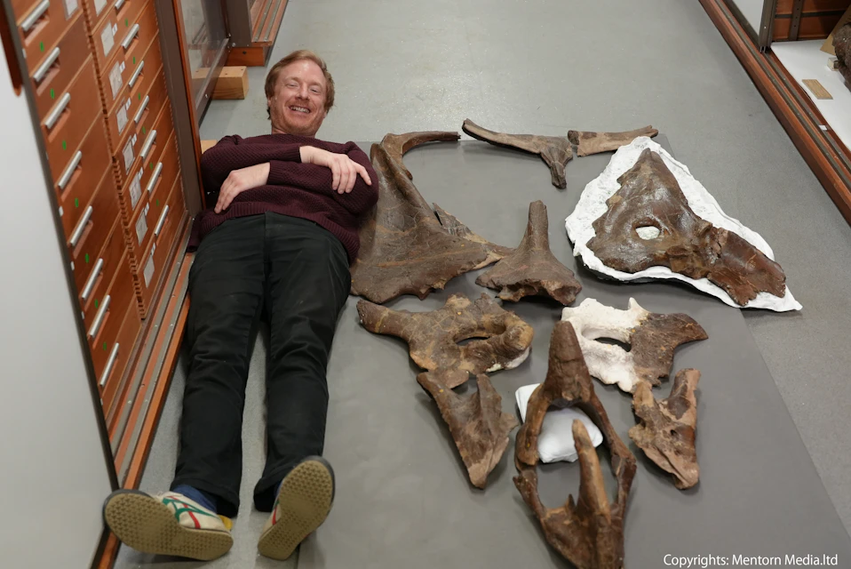 冬休み 恐竜と古代生物SP