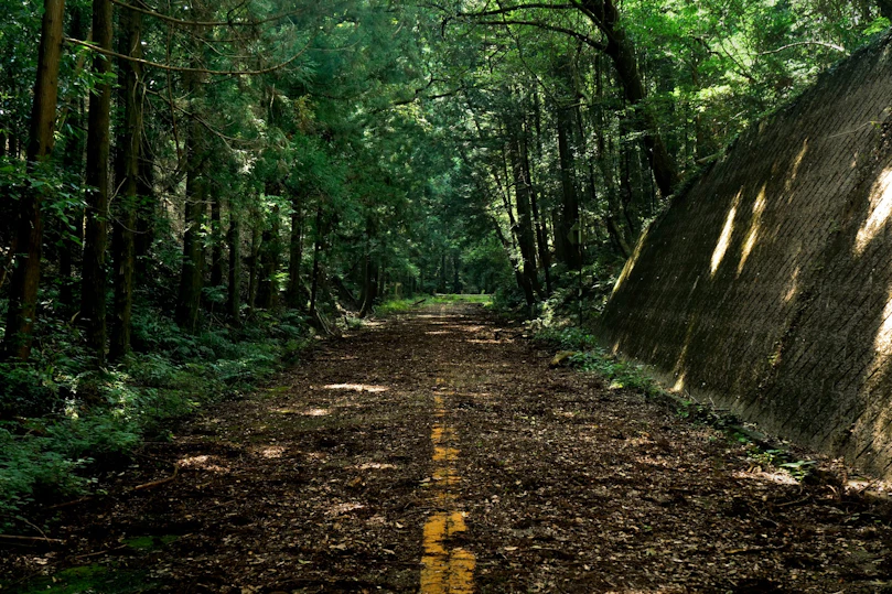 廃道アドベンチャー