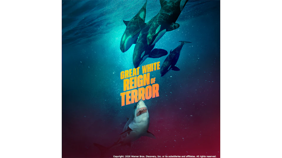 ホホジロザメ:新たなる驚異の真実|Great White Reign Of Terror