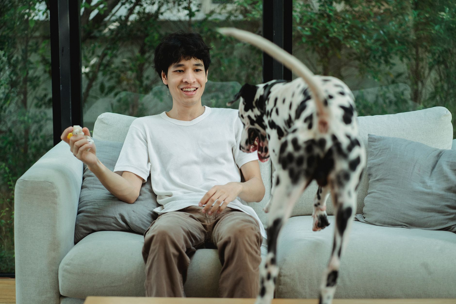犬が来客に吠える時、玄関で整えること。のメイン画像