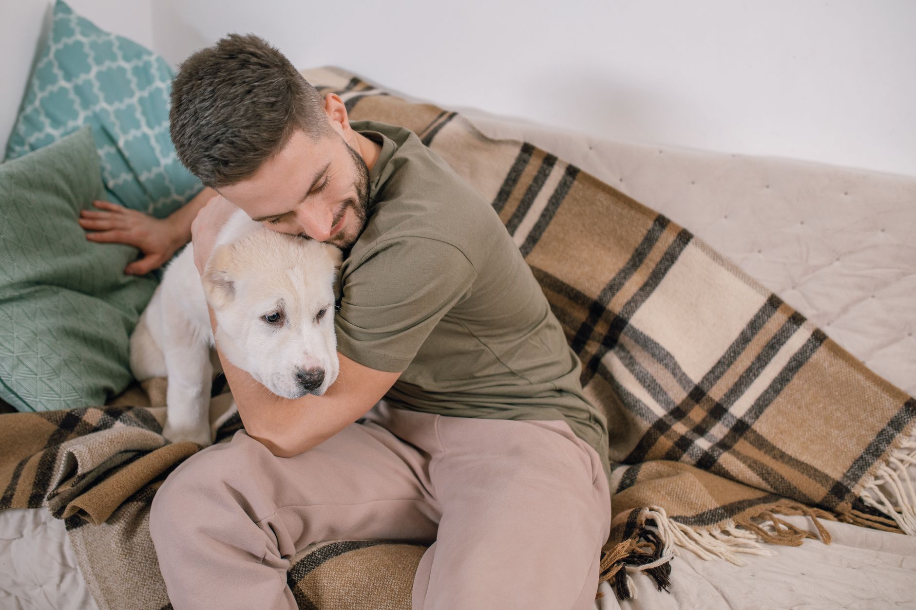 子犬の寝る時間が気になる時に見ること。のメイン画像
