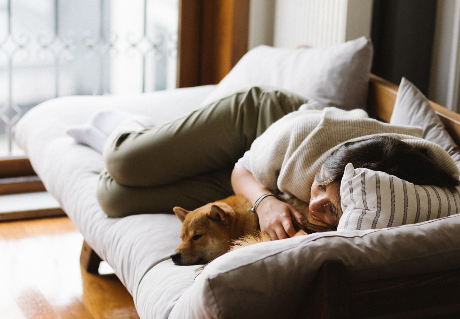 犬が夜に落ち着かない時、寝る前の刺激を整える。のメイン画像