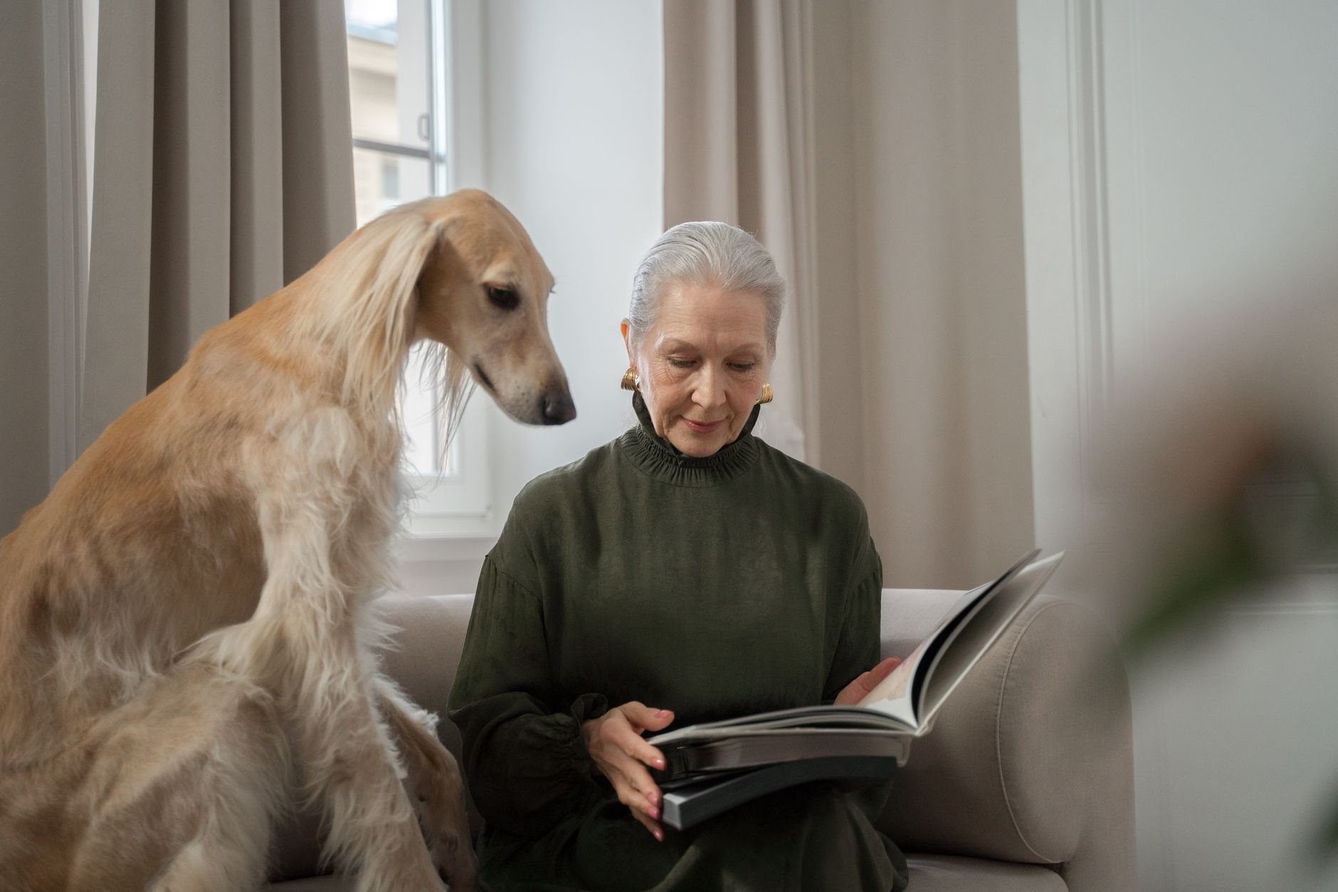 老犬が徘徊する時、叱る前に見ること。のメイン画像