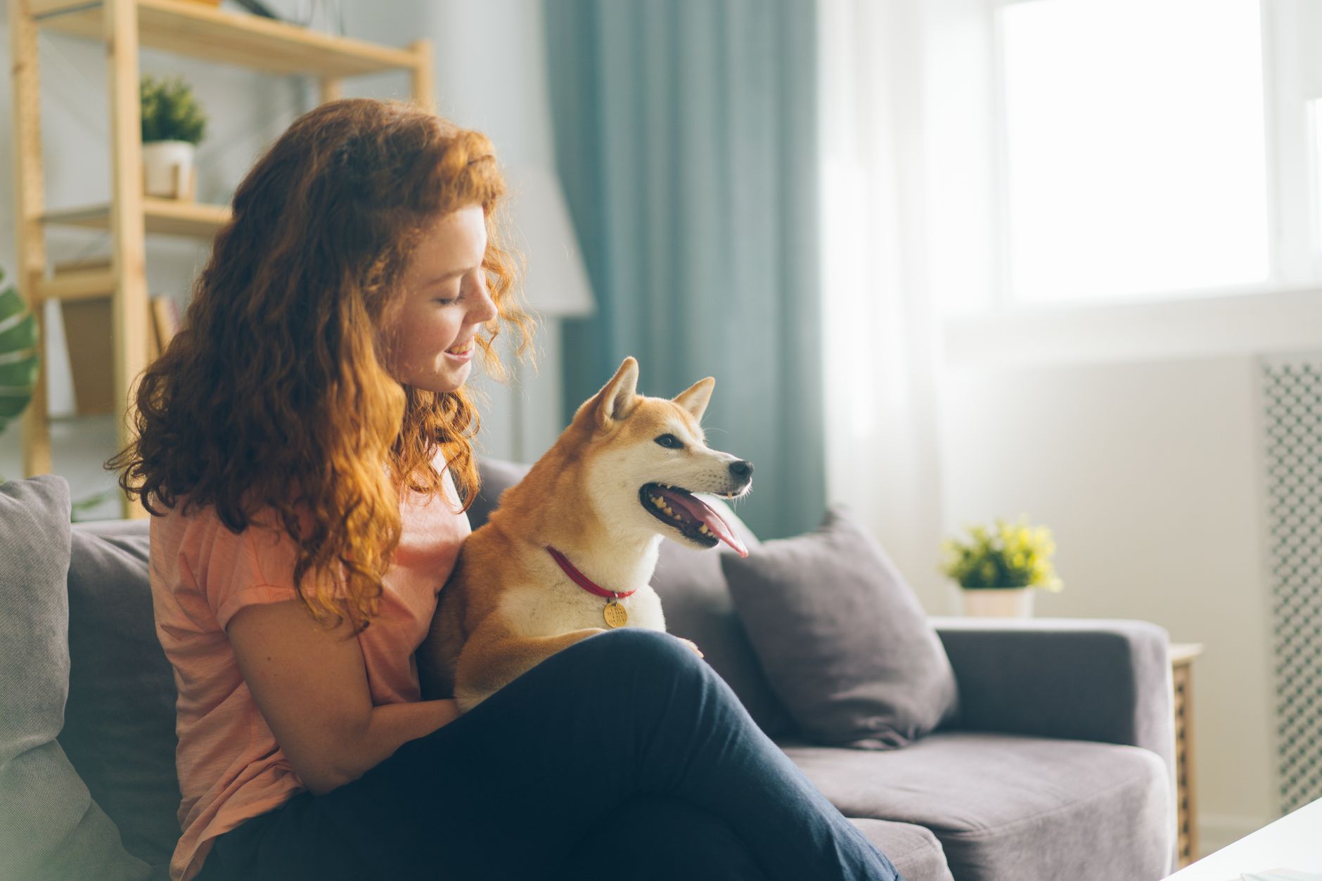 犬のシャンプー頻度を決める時の見方。のメイン画像