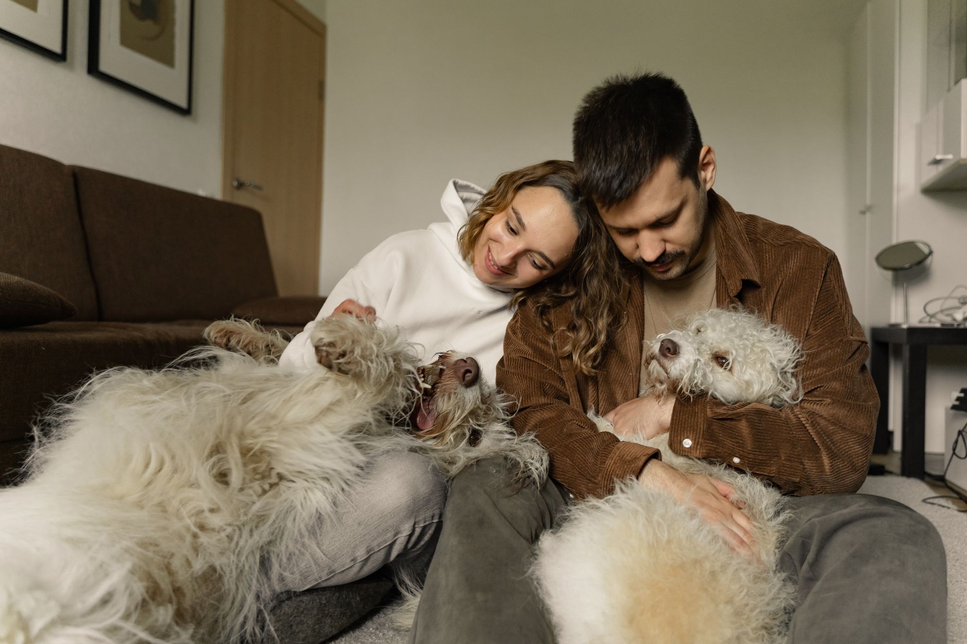 犬が震えて元気がない時の相談目安。のメイン画像