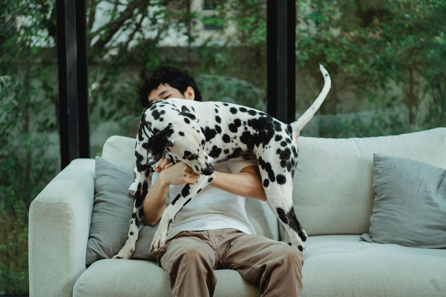 犬の爪切りを嫌な時間にしないために。のメイン画像
