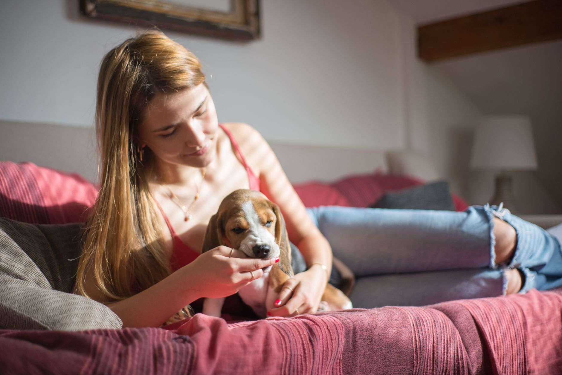 子犬が噛む時、叱る前に見ること。のメイン画像