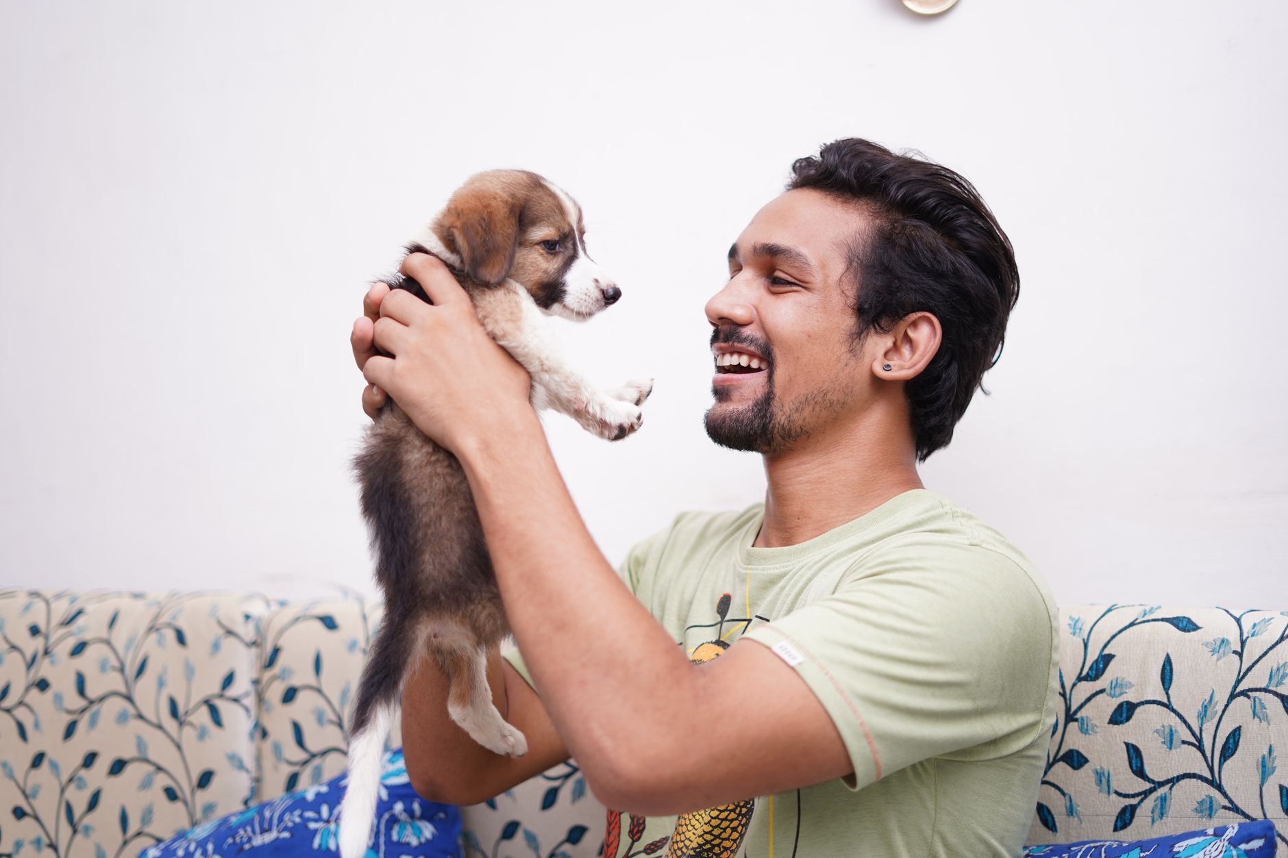 子犬がご飯を食べない時、まず確認したいこと。のメイン画像