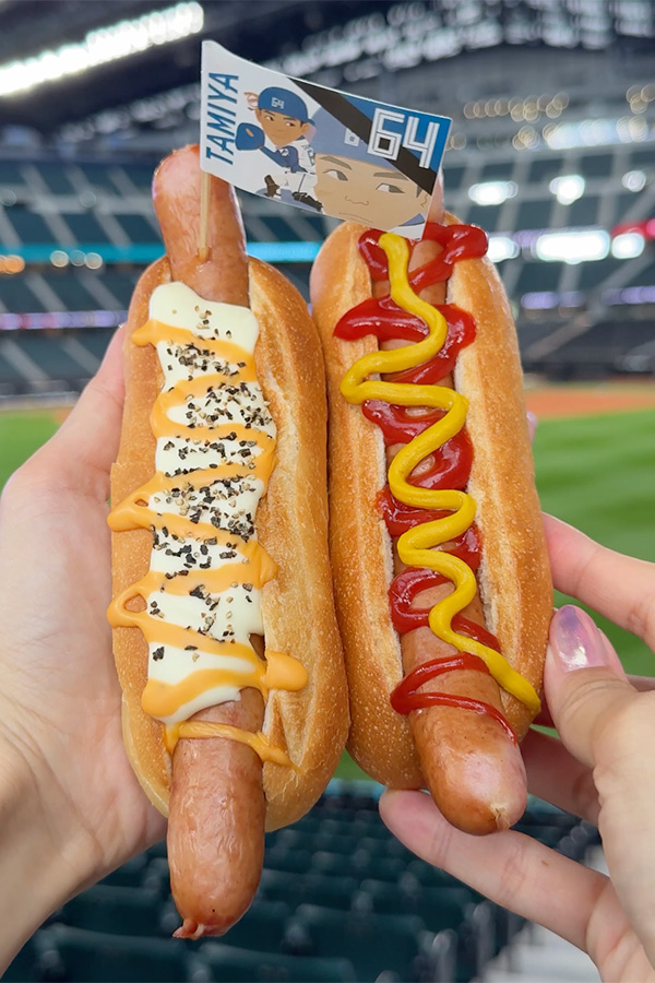 野球観戦といえばやっぱりこれ！王道ホットドッグ🌭