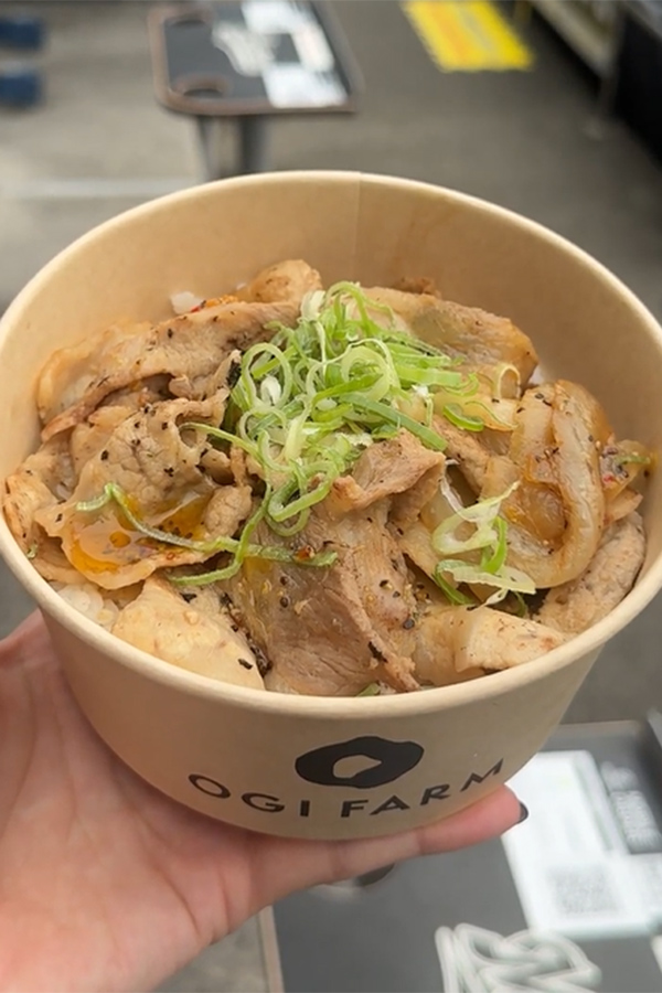 レモンダレの酸味が◎スタミナ満点の豚丼