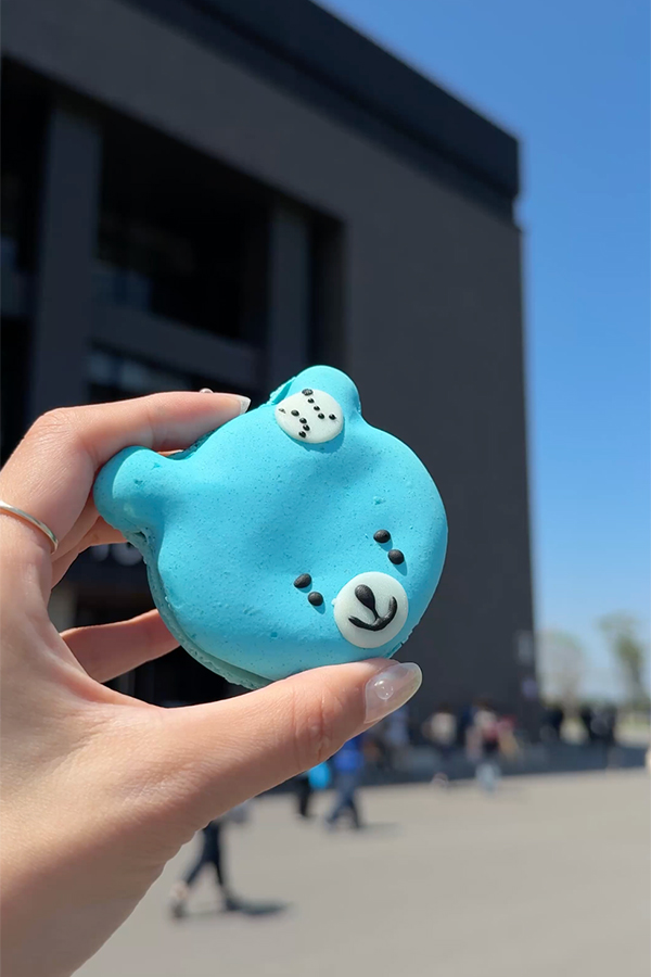 かわいすぎて食べられない！？えふたんマカロン🧸