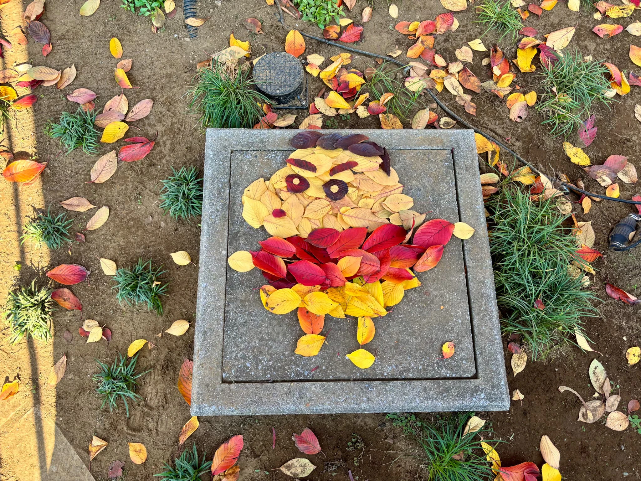 落ち葉で作ったクレヨンしんちゃん