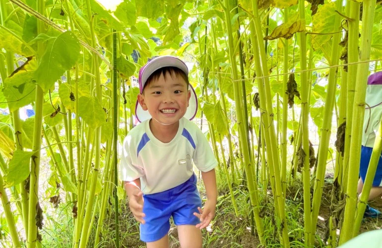 ひまわり畑の迷路で大きなひまわりに囲まれ笑顔を見せる年長の男の子
