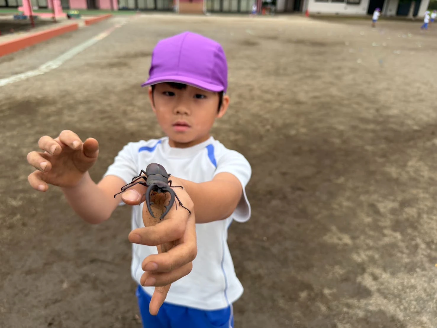 みもみ幼稚園で手にクワガタをのせる男の子